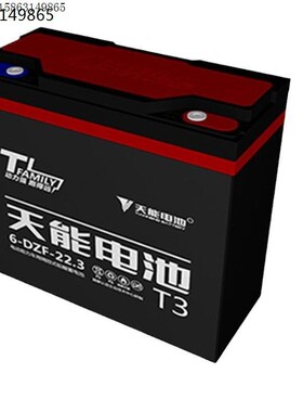 真黑金T3电池48v20ah60tV2072电动车电瓶电池6-DZF-22.3A 潍坊