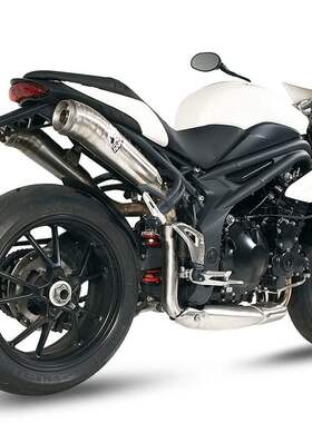 摩托车装饰油箱贴鱼骨贴 适用于Trsiumph Speed Triple 1050 05-1