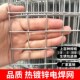 镀锌铁丝网围户外护栏铁栏网养家用养殖围网鸡Q钢丝网格小孔防护