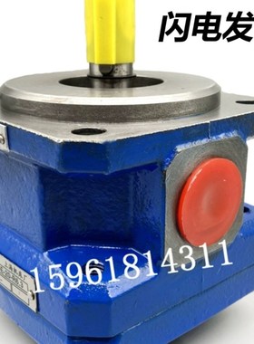 外圆磨床油泵包邮Mh1432B磨床M1332BGPA2-16-E-20R MQ1350齿轮油