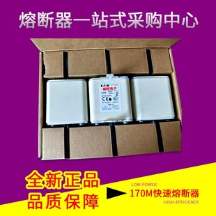 170M5366 170M531C6 Bussmann快速熔断器 170M5365 170M5315