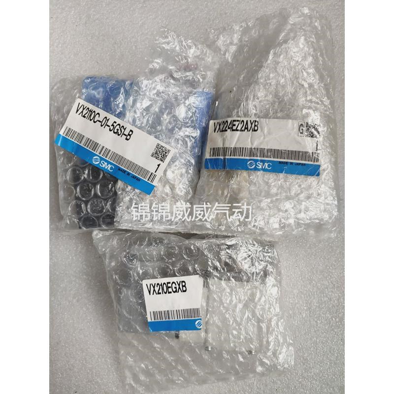 SMC电磁b阀VX2120G-02-4G/4G1/5D/5D1/5G/5G1 VX2120GZ-01-1G1现