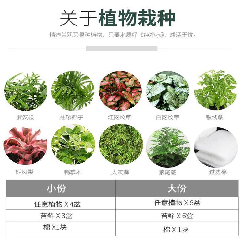.别墅乌龟缸带晒台带过滤鱼龟混养缸深水免换水养乌龟专用缸玻璃