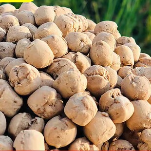 炒祺炒琪土炒馍土疙瘩琪豆琪子面豆山西特产垣曲3斤棋子零食小吃