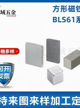 BLS61-A5/A8/A10/A15/A20/A30-B3/B4/B10/B15/B20-T2/3/5方形磁铁