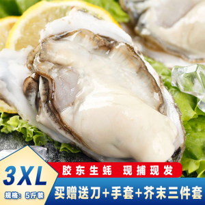 乳山生蚝鲜活5斤特大带箱新鲜海蛎子超大牡蛎海鲜水产批发