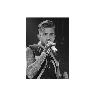 亚当兰伯特当爷Adam Lambert歌手汽车摩托车反光划痕装饰贴纸