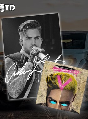 亚当兰伯特当爷Adam Lambert歌手汽车摩托车反光划痕装饰贴纸