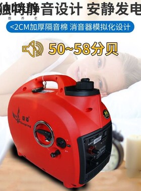 雄凌便携电动车增程器电瓶两三轮车48v60v7O2v免安发电机静音续航