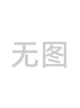 新款威尔克133 175 180 190 220 225 2H50 280 355FLW23涡流式现