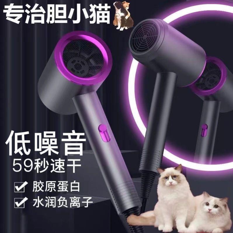 宠物猫咪吹风机小型犬狗猫猫速干吹毛神器高颜值小红书吹水机