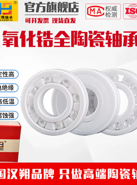 氧化锆全陶瓷轴承6200 6202 62036205 6207 6208 6210 6216CE绝缘