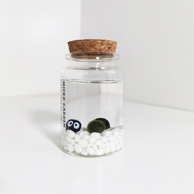 marimo海藻球水养宠物 生日礼物送朋友 趣味植物桌面生态瓶微景观