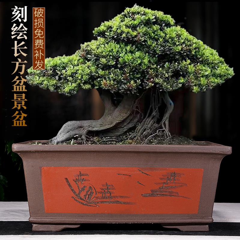 宜兴花盆特大长方盆陶瓷紫砂手工盆景盆老庄造景四方盆精品盆丛林