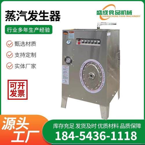 电加热蒸汽发生器全自动燃气蒸汽机商用煮豆浆专用节能锅炉蒸汽机