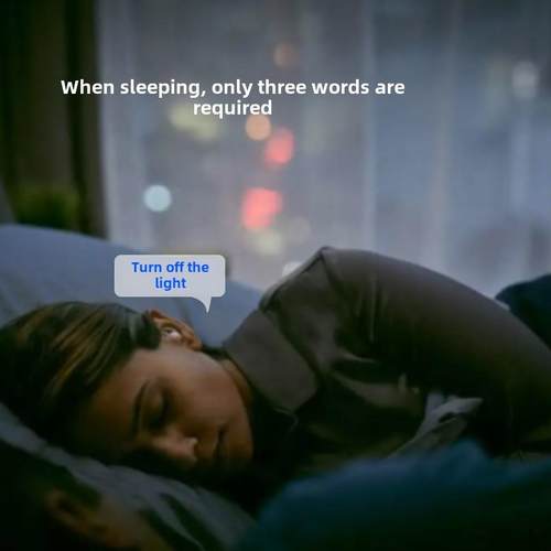 离线语音智能开关声控识别模块家用灯具遥控无线改造通断器控制W