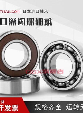 日本NSK 进口6226 6228 6230 6232 6234 6236Z ZZ DDU C3 CM 轴承
