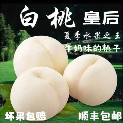 蒙阴奶油大白桃当季中国大陆