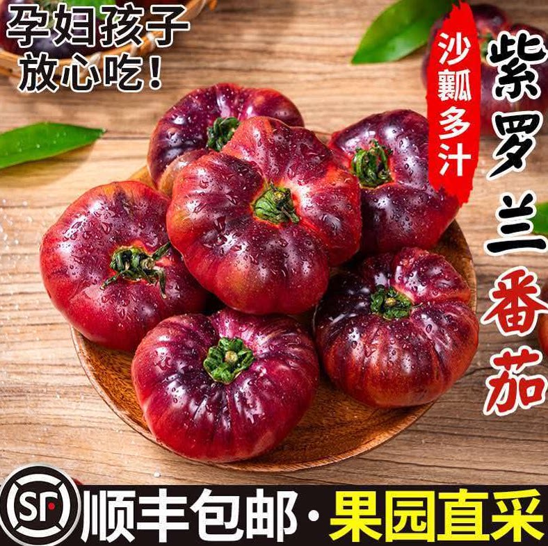 顺丰现摘紫罗兰番茄新鲜丑番茄火山紫马蹄番茄大紫西红柿生吃5斤