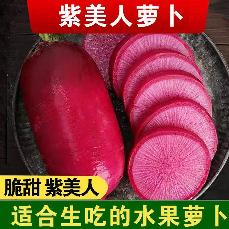 现挖新鲜紫美人萝卜胭脂萝卜红皮红肉萝卜泡菜萝卜5斤红心萝卜,水产肉类/新鲜蔬果/熟食,萝卜/胡萝卜,淘宝优惠券,粉丝福利购,淘宝优惠卷