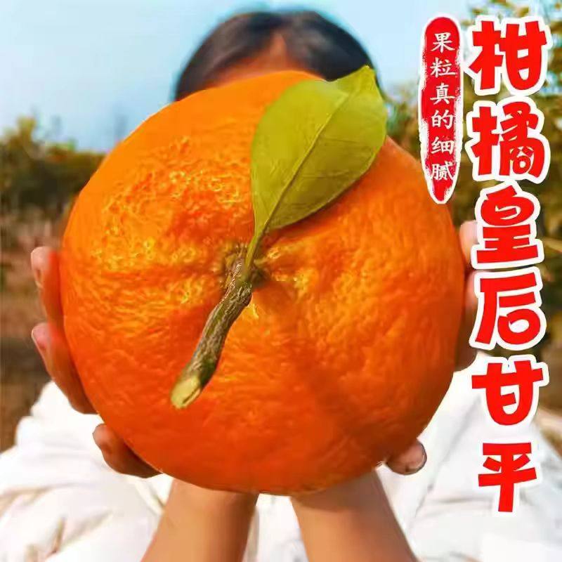 正宗甘平柑橘皇后礼盒当季新鲜水果蜜橘子纯甜小金桔子非粑粑柑,水产肉类/新鲜蔬果/熟食,桔子,淘宝优惠券,粉丝福利购,淘宝优惠卷