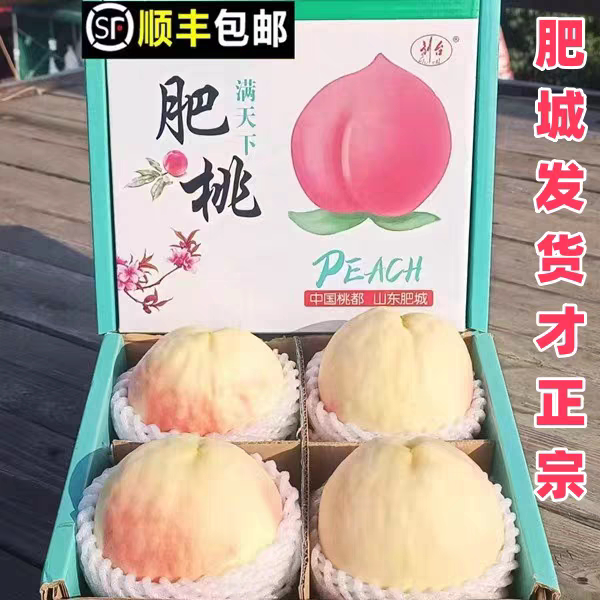 顺丰山东特产肥桃肥城水蜜桃礼盒装现摘新鲜脆甜超大毛桃子肥佛桃图片