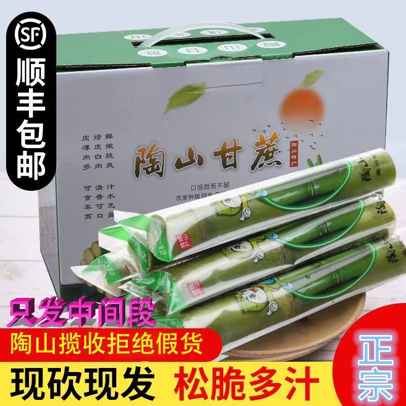 陶山甘蔗现货青皮绿皮甘蔗