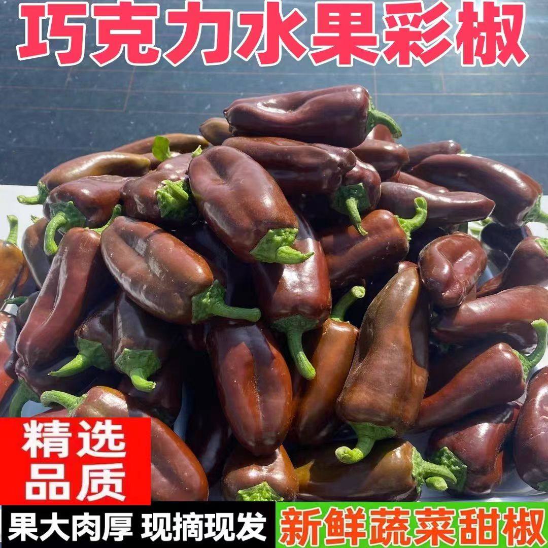 现摘巧克力迷你水果彩椒当季新鲜五彩辣椒生吃脆甜不辣黑紫色甜椒,水产肉类/新鲜蔬果/熟食,辣椒,淘宝优惠券,粉丝福利购,淘宝优惠卷