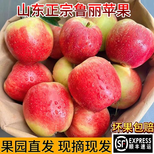 山东鲁丽苹果新鲜水果嘎啦脆甜丑苹果