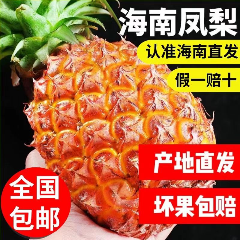 妇手风金当孕撕南宗鲜果