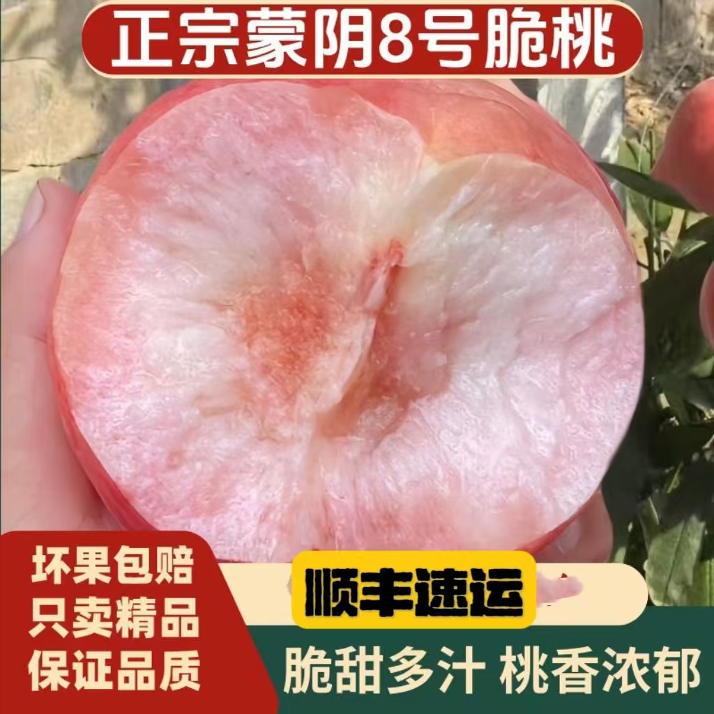 沂蒙山8号脆桃新鲜水果应季硬桃毛桃水蜜桃当季山东蒙阴桃子顺丰