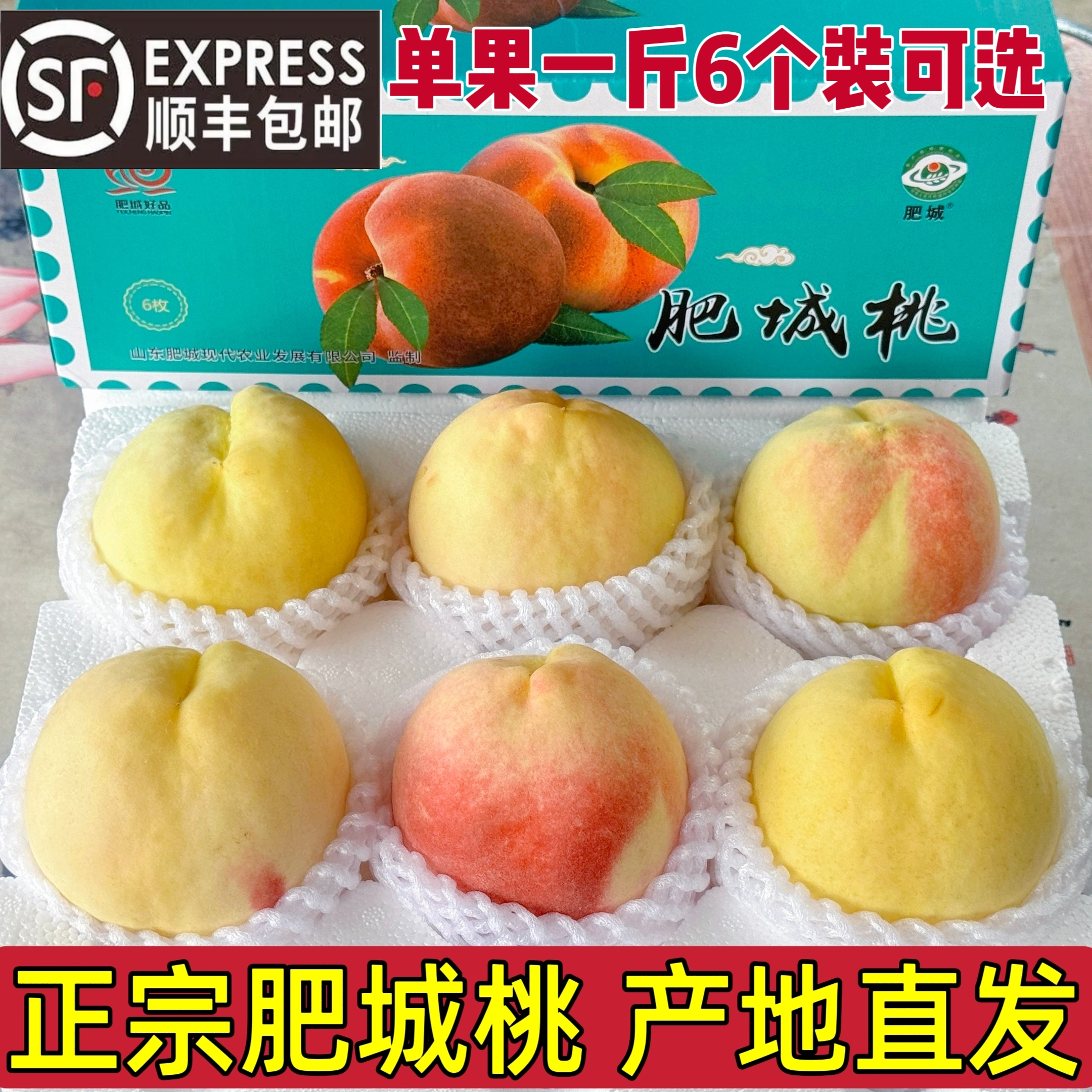 山东特产现摘肥城水蜜桃水果脆甜