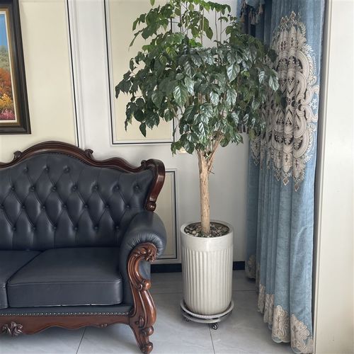 不锈钢圆形可移动大花盆托盘底座承重托J架带滚轮花架滑轮鱼缸底