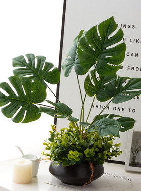 仿真绿色植物假花龟背叶尤加u利叶客厅书房电视柜桌面装饰小摆件