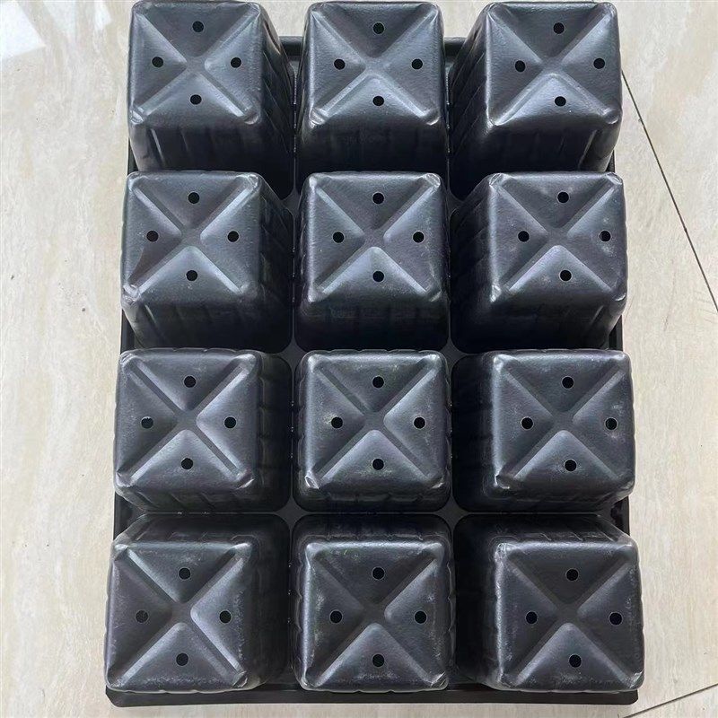 12孔育苗盘穴盘草莓苗木花卉园艺扦插T容器林木育苗盆