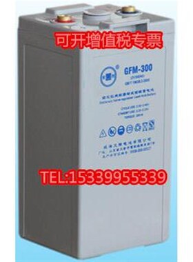 YOULI有利GFM-3o00阀控铅酸免维护电池2V300AH远程控制系统UPS电