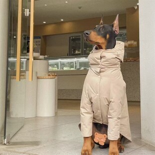 24冬款杜大狗纯色棉服美版宾边牧阿拉斯K加中大型犬外出防寒保暖