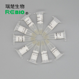 包邮 包乾冰 Tuner(DtE3)大肠杆菌化学转化感受态细胞 10支 20支