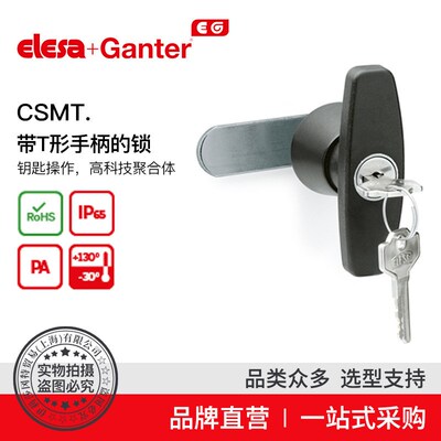 Elesa+Ganter伊莉莎v冈特 CSMT. 带T形手柄的锁 钥匙操作