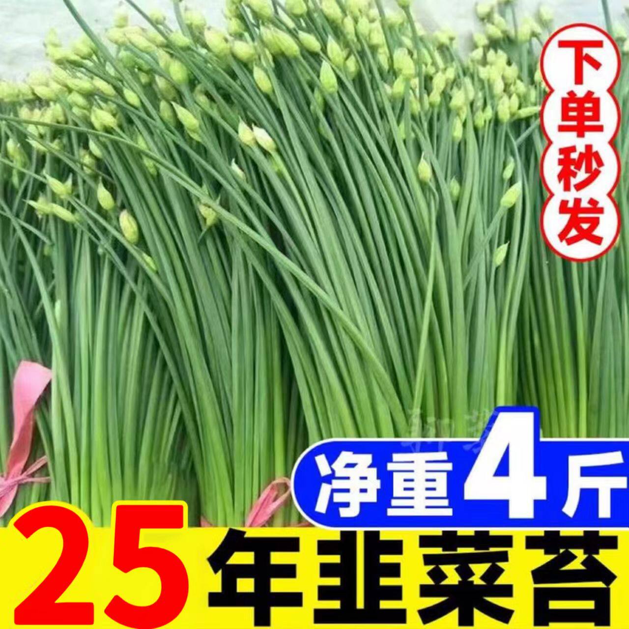 新鲜现摘韭菜苔农家自种