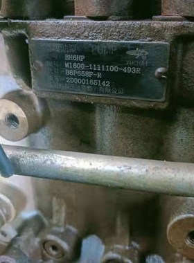 玉柴YC6M2g90-33发动机柴油泵/图号1600-1111100-493R
