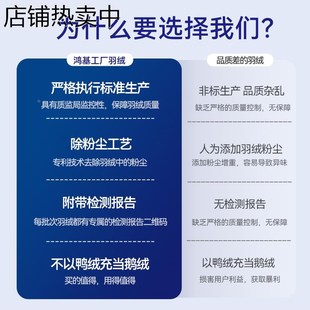 鸿基清水货散装羽绒4A级95白鹅绒5A白鸭绒大朵羽绒被Y填充物羽绒