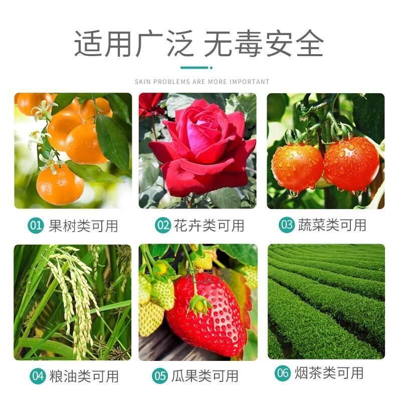 磷酸二钾氢花酸肥家用酸凌料麟零E钾酸硫磷酸养花的用肥二轻甲