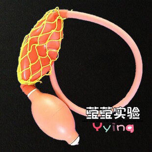 橡胶球胆 气体取样球胆4# 5# 7#乳胶球胆 双联球 单连球 定量吸球