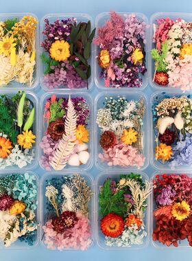 200pc Real Dried Flowers For  Art Craft Epoxy Resin Candl