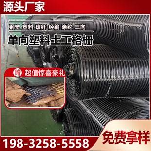 GSL 单项塑料土工格栅TGDG80KN GSZ单向土工格栅塑料格栅玻纤钢塑