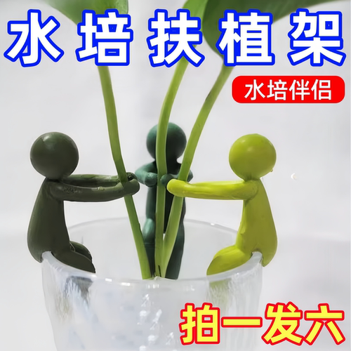 水培植物固定神器生长造型防倒伴侣扶正扶枝办公桌装饰园艺固定器