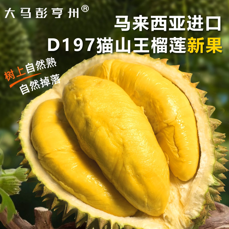 原装进口猫山王榴莲D197整果图片