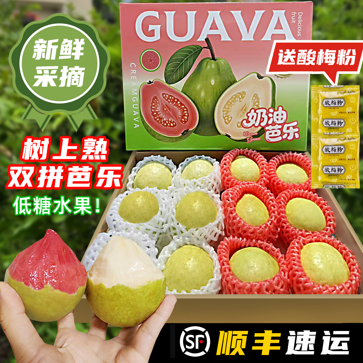 礼盒装树上熟的番石榴红白心芭乐水果当季新鲜软糯香甜顺丰整箱邮