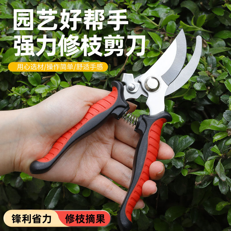 花剪园艺修枝剪刀不锈钢高硬度果树花枝剪家用锋利省力摘果工具